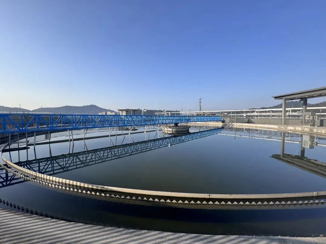 113_3_1768529421.jpeg?wx_fmt=jpeg&from=appmsg