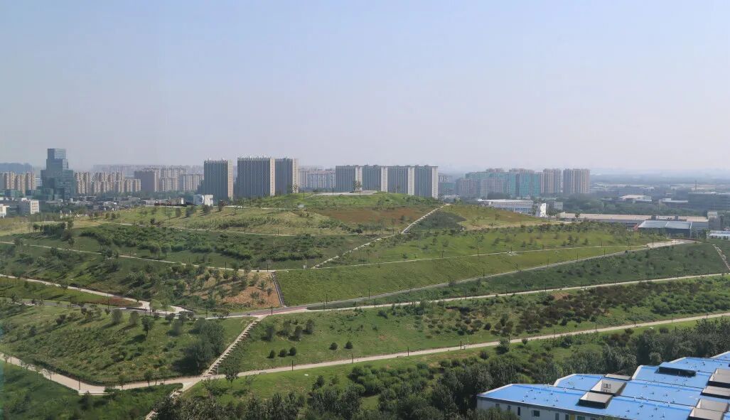 113_4_1767837794.jpeg?wx_fmt=jpeg&from=appmsg