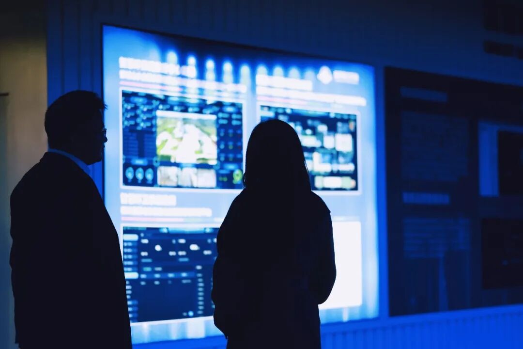 113_4_1767924161.jpeg?wx_fmt=jpeg&from=appmsg