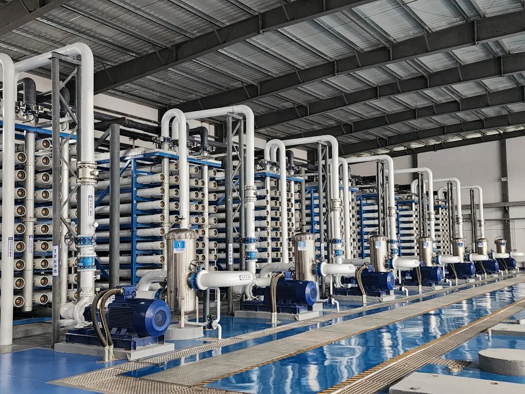 113_4_1768181326.jpeg?wx_fmt=jpeg&from=appmsg