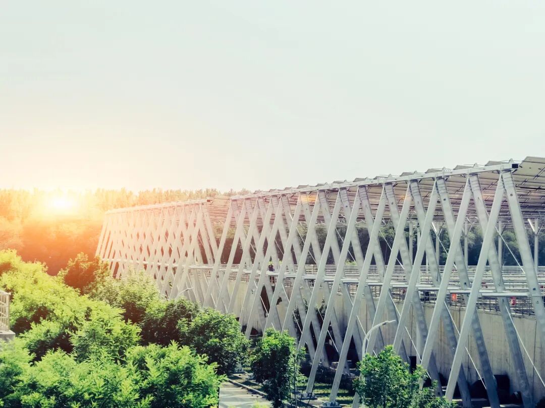 113_5_1768181326.jpeg?wx_fmt=jpeg&from=appmsg