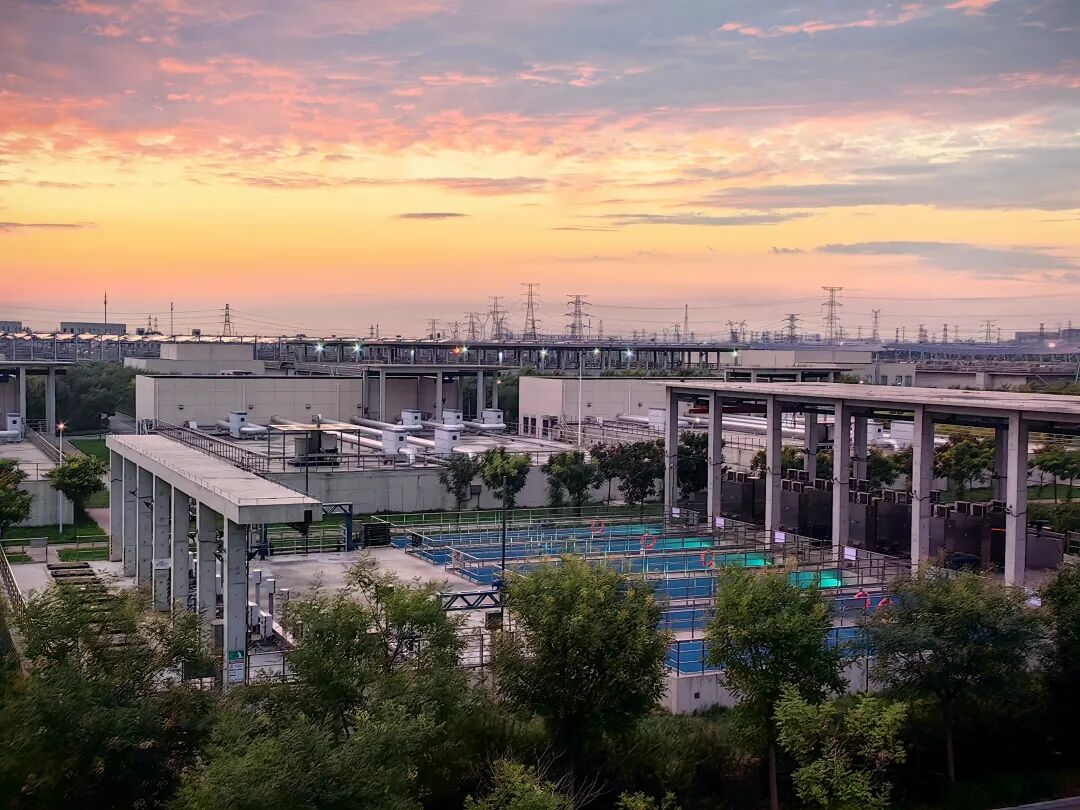 113_6_1768181326.jpeg?wx_fmt=jpeg&from=appmsg