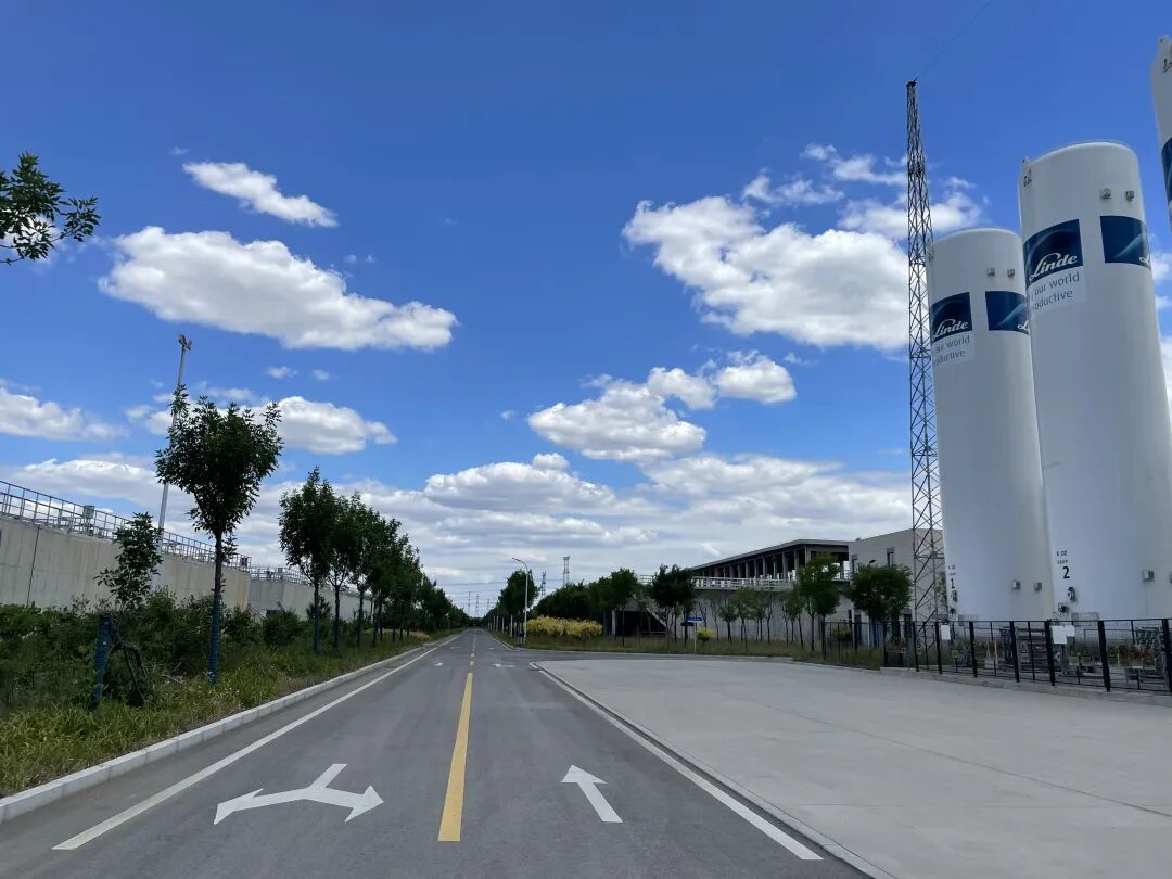 113_7_1768181326.jpeg?wx_fmt=jpeg&from=appmsg