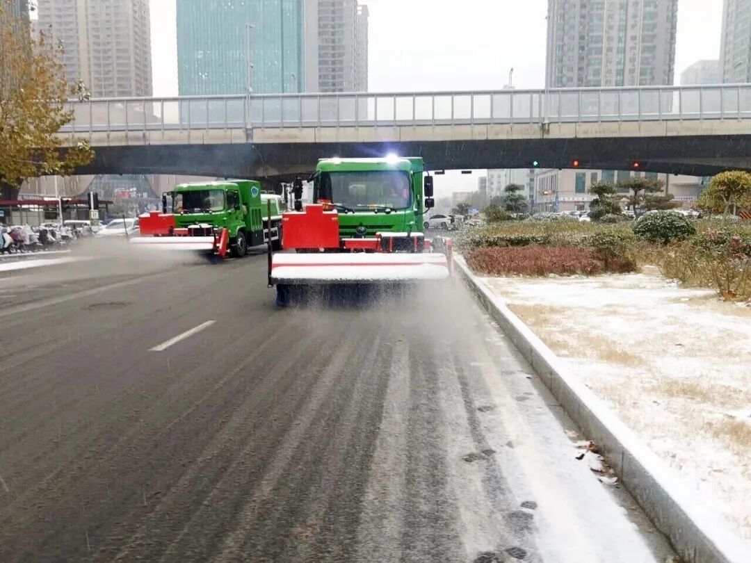 113_8_1768874169.jpeg?wx_fmt=jpeg