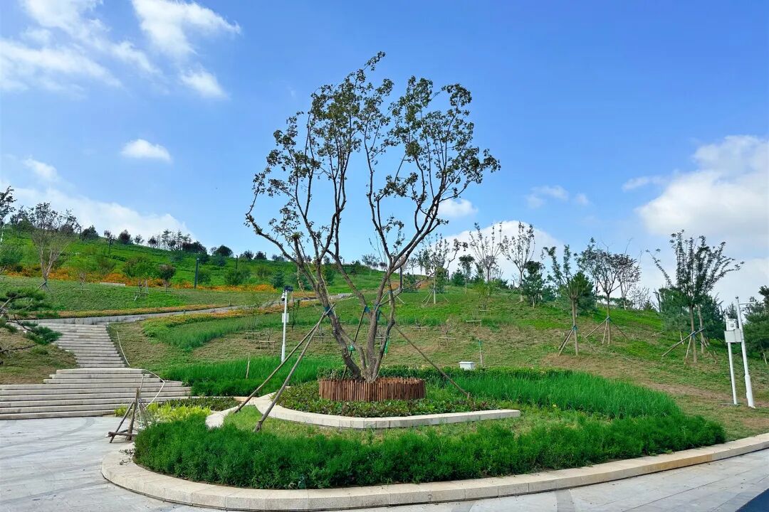 113_9_1767837794.jpeg?wx_fmt=jpeg&from=appmsg