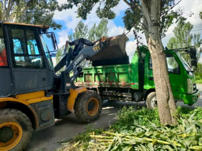 1768204493159192.png image.png