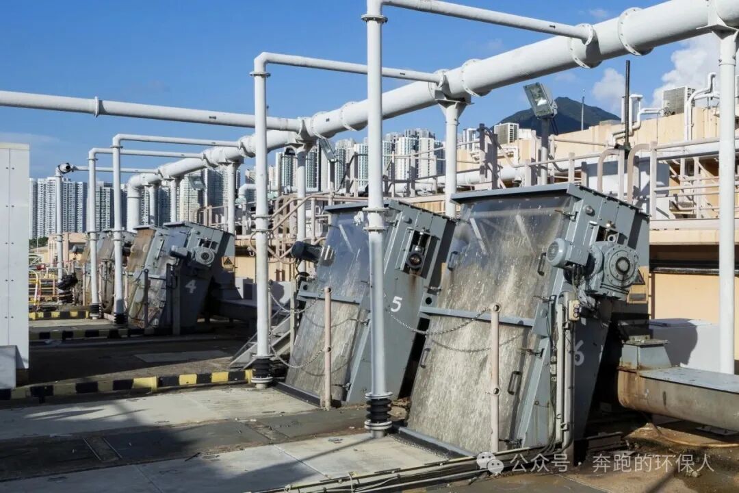 113_10_1769995664.jpeg?wx_fmt=jpeg&from=appmsg&watermark=1