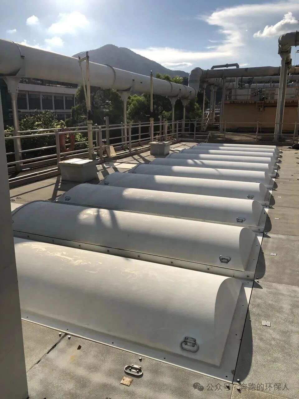 113_11_1769995664.jpeg?wx_fmt=jpeg&from=appmsg&watermark=1