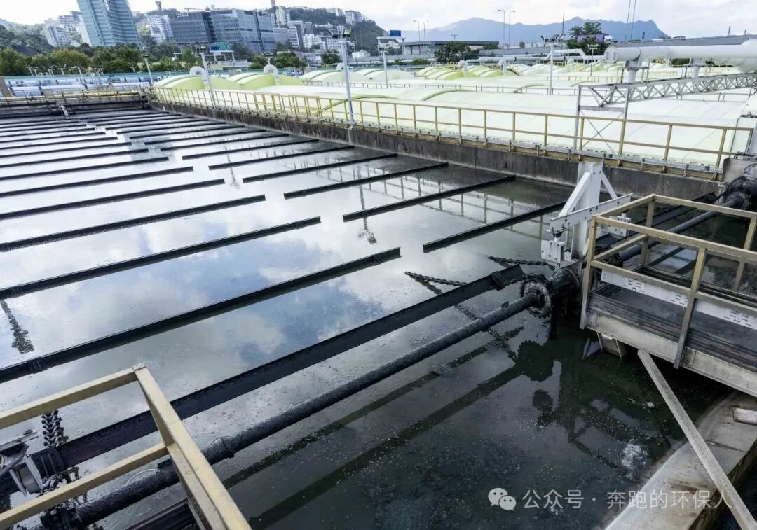 113_12_1769995664.jpeg?wx_fmt=jpeg&from=appmsg&watermark=1