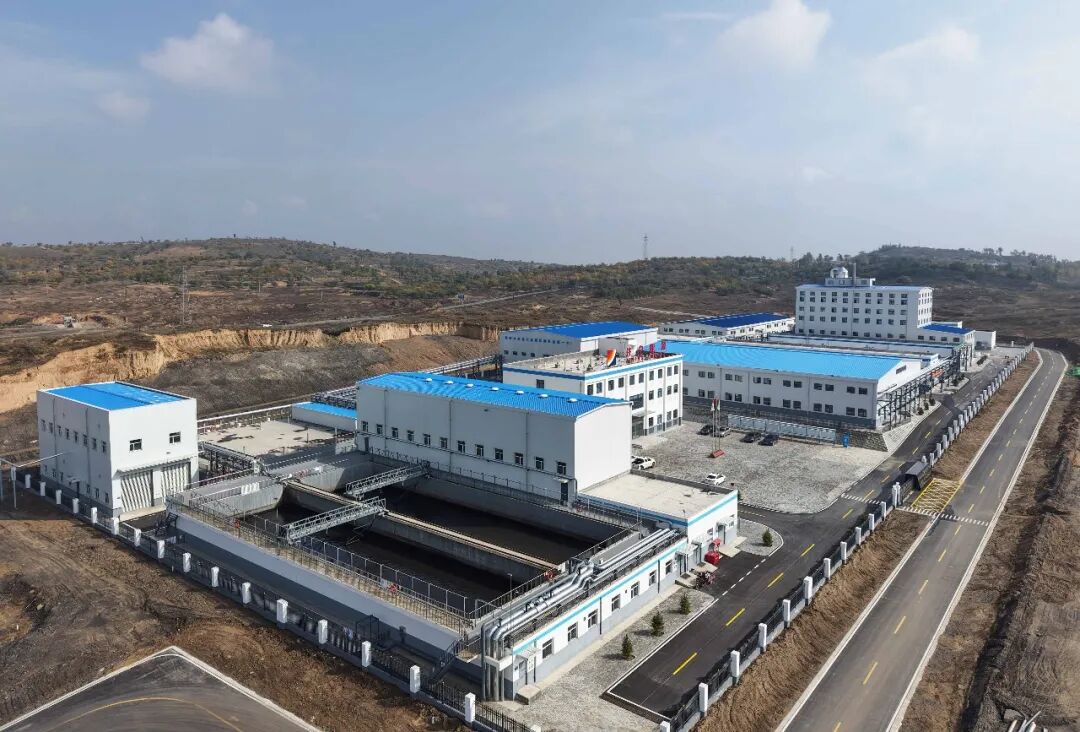 113_12_1772155513.jpeg?wx_fmt=jpeg&from=appmsg