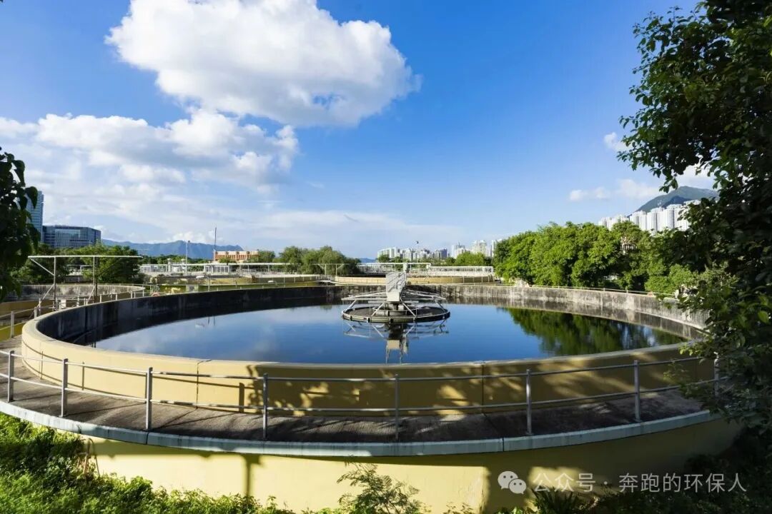 113_14_1769995664.jpeg?wx_fmt=jpeg&from=appmsg&watermark=1