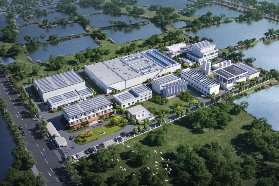 113_14_1772155513.jpeg?wx_fmt=jpeg&from=appmsg