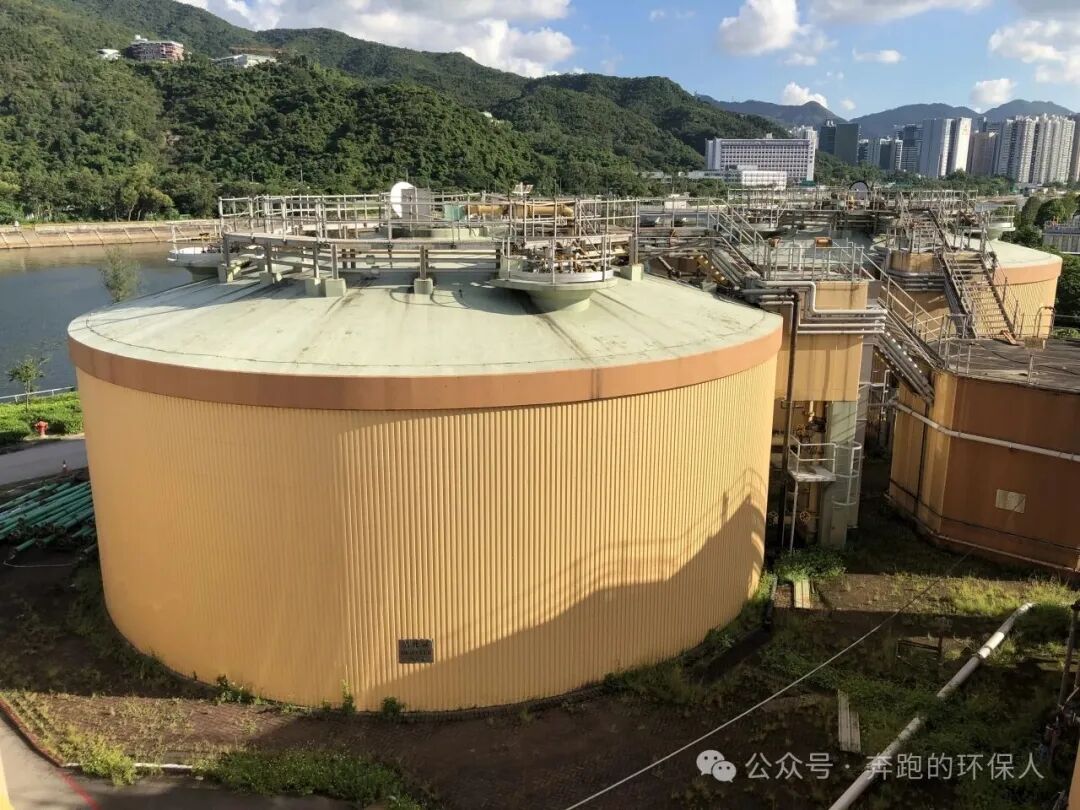 113_17_1769995664.jpeg?wx_fmt=jpeg&from=appmsg&watermark=1