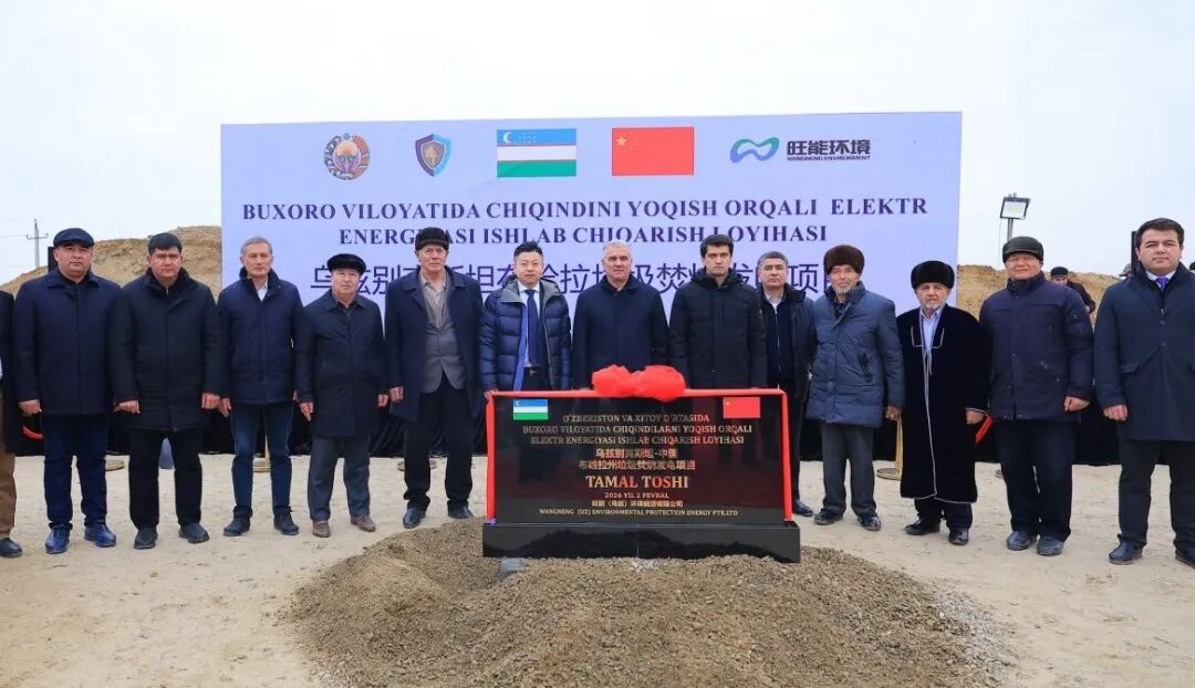 113_1_1770168986.jpeg?wx_fmt=jpeg&from=appmsg