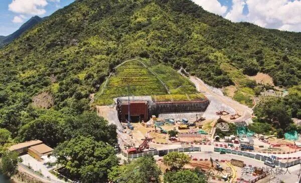 113_21_1769995664.jpeg?wx_fmt=jpeg&from=appmsg&watermark=1