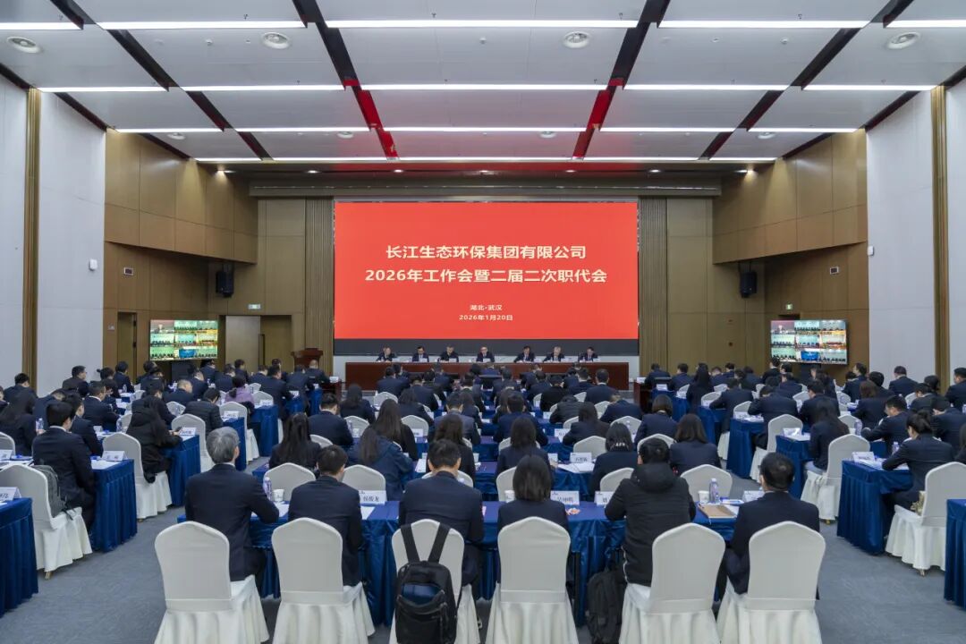 113_2_1770706204.jpeg?wx_fmt=jpeg