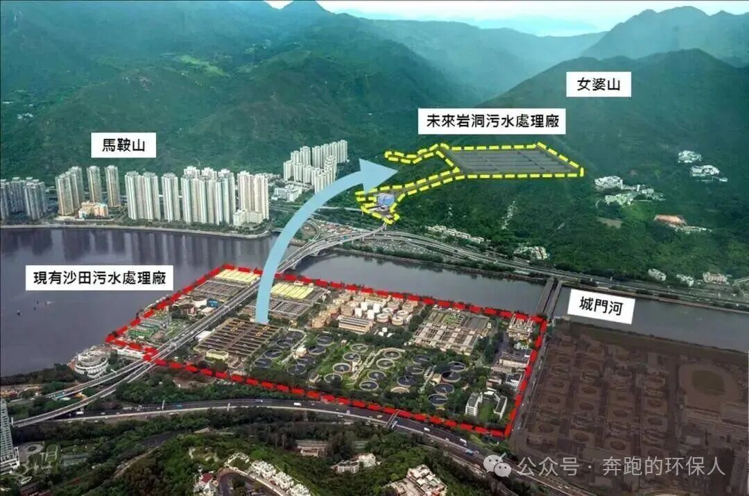 113_4_1769995664.jpeg?wx_fmt=jpeg&from=appmsg&watermark=1