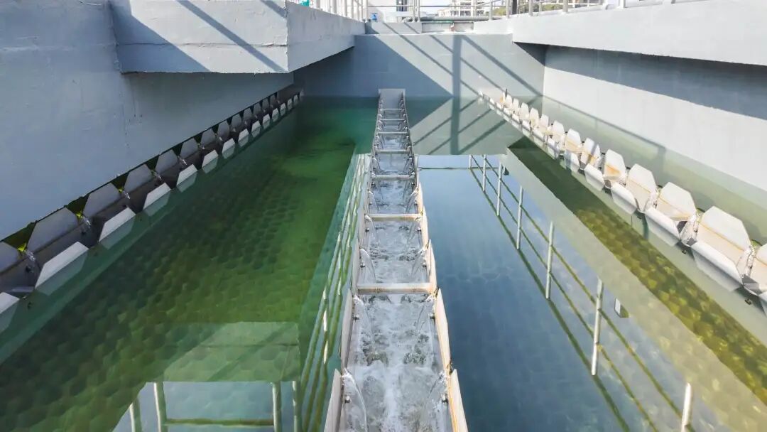 113_4_1770343698.jpeg?wx_fmt=jpeg&from=appmsg