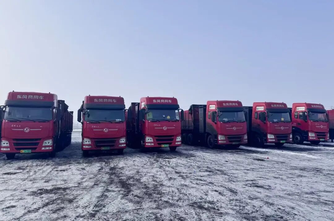 113_5_1770108143.jpeg?wx_fmt=jpeg&from=appmsg