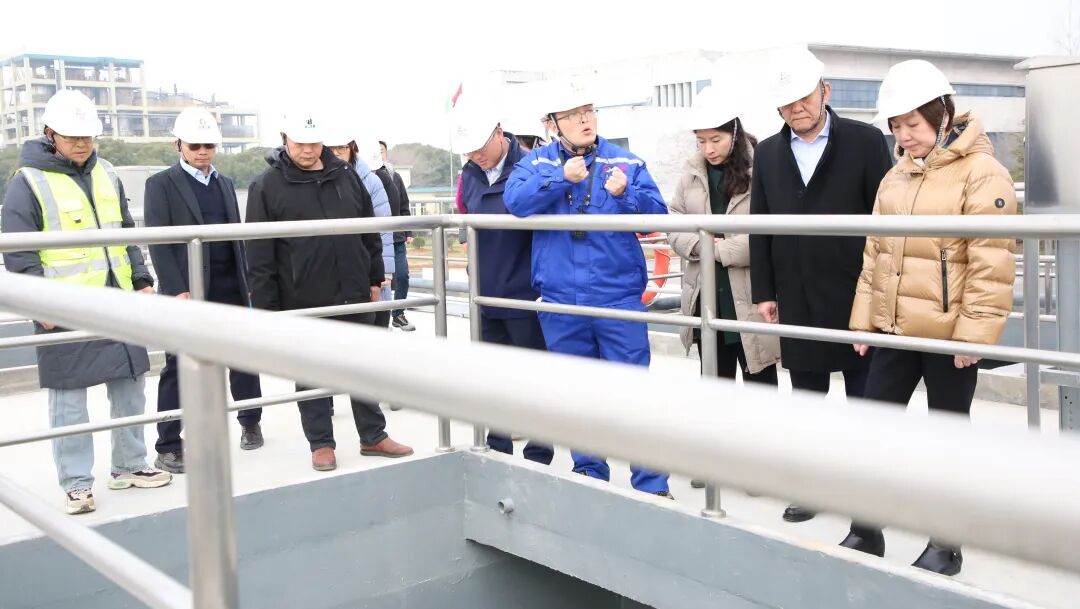 113_5_1770343698.jpeg?wx_fmt=jpeg&from=appmsg