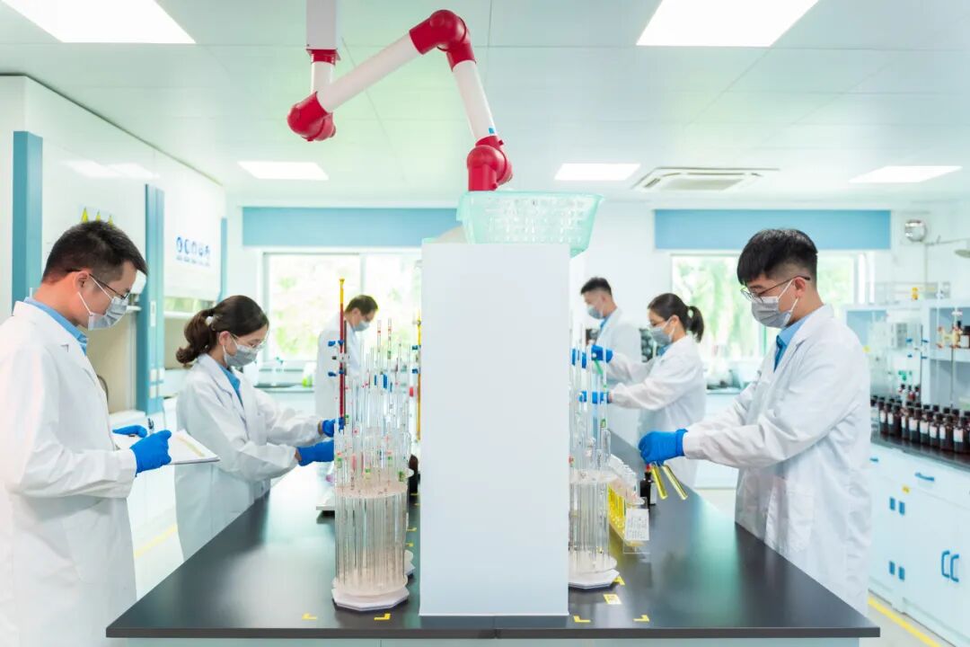 113_6_1770624825.jpeg?wx_fmt=jpeg