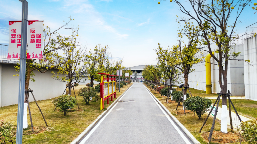 113_6_1771896164.png?wx_fmt=png&from=appmsg