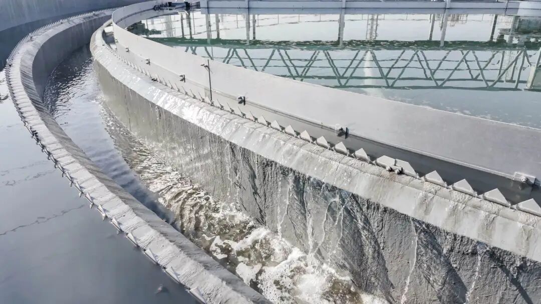 113_7_1770343698.jpeg?wx_fmt=jpeg&from=appmsg