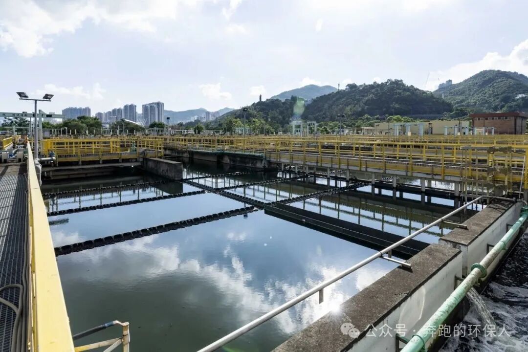 113_9_1769995664.jpeg?wx_fmt=jpeg&from=appmsg&watermark=1