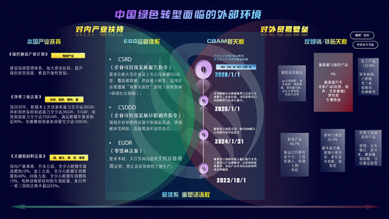 最终版——辨证共生：从