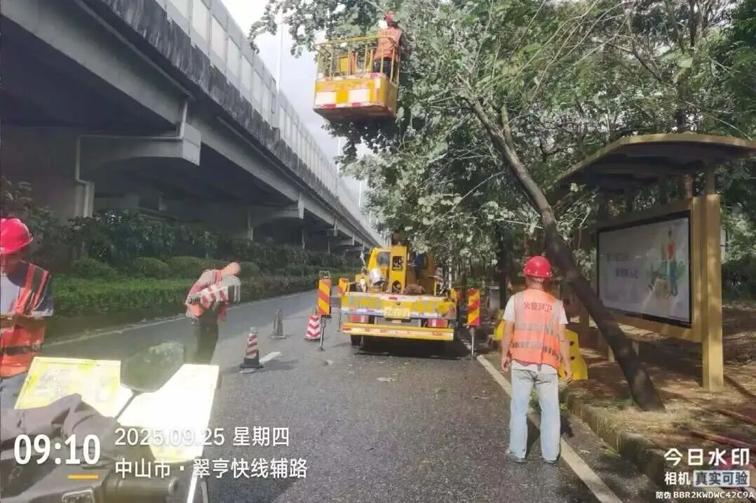 113_17_1772675800.jpeg?wx_fmt=jpeg