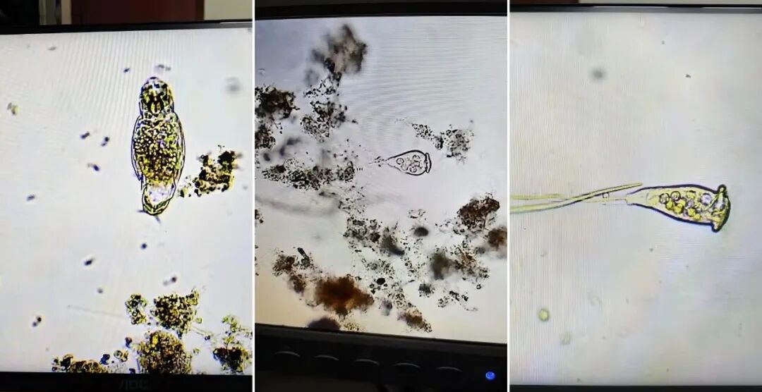 113_2_1773107926.jpeg?wx_fmt=jpeg