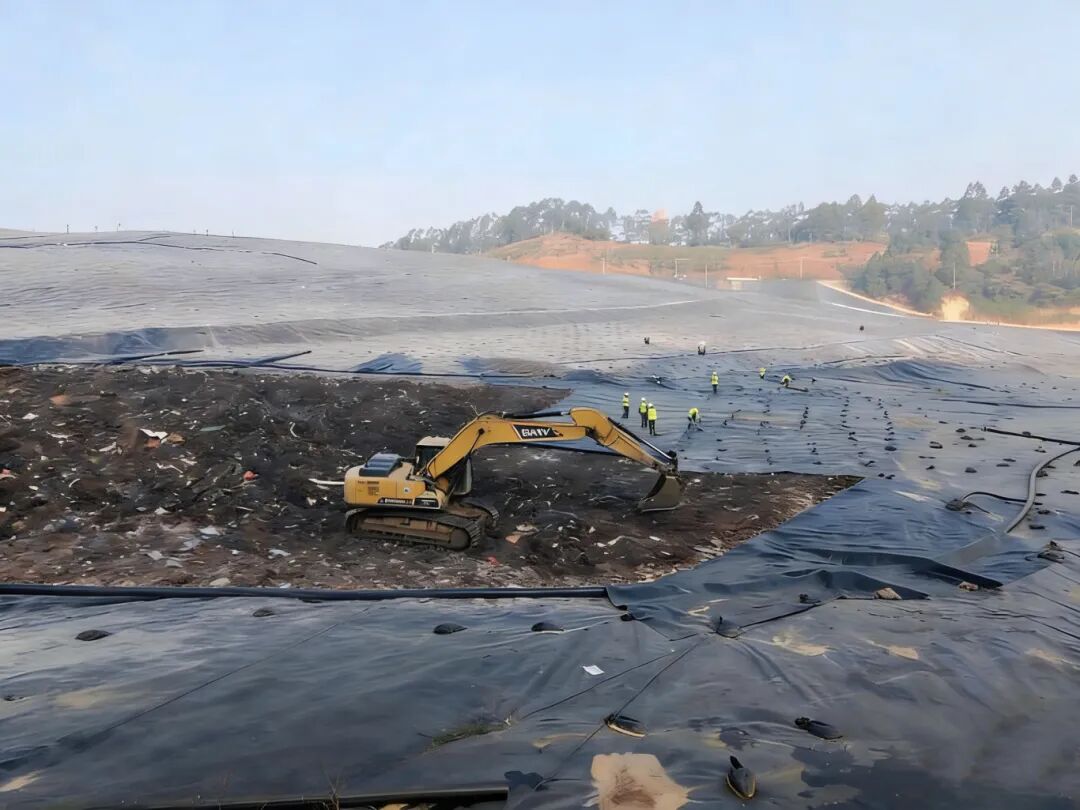 113_2_1773824847.jpeg?wx_fmt=jpeg&from=appmsg