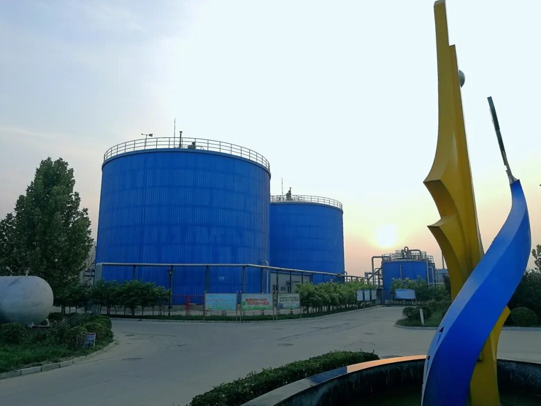 113_2_1774424089.jpeg?wx_fmt=jpeg&from=appmsg