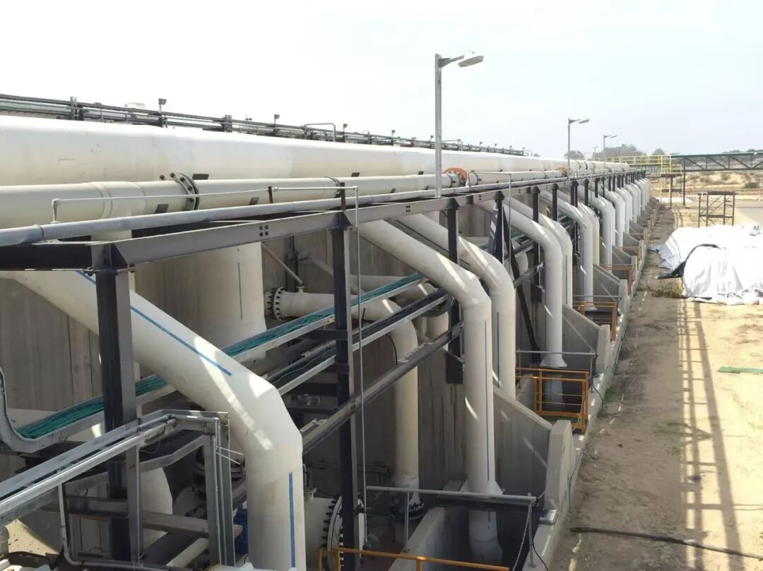 113_3_1772586614.jpeg?wx_fmt=jpeg&from=appmsg