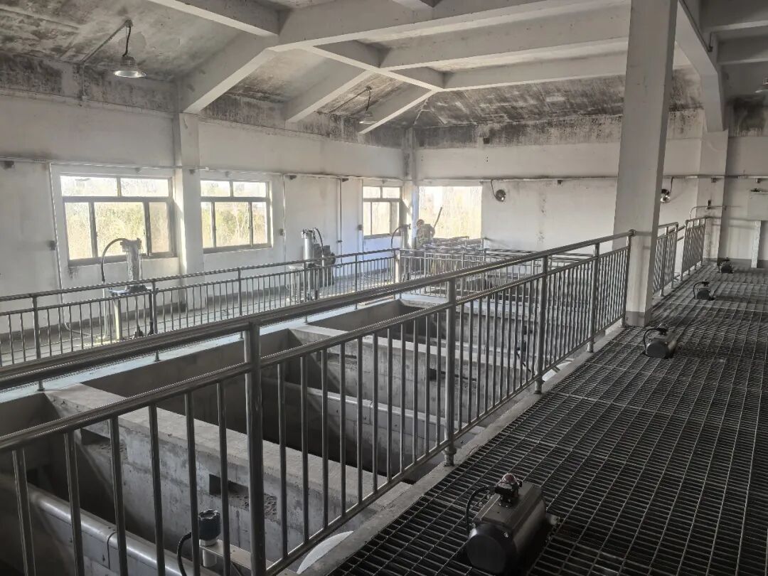 113_3_1772785197.jpeg?wx_fmt=jpeg&from=appmsg