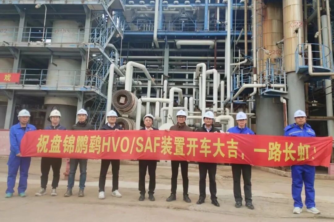 113_3_1774580658.jpeg?wx_fmt=jpeg