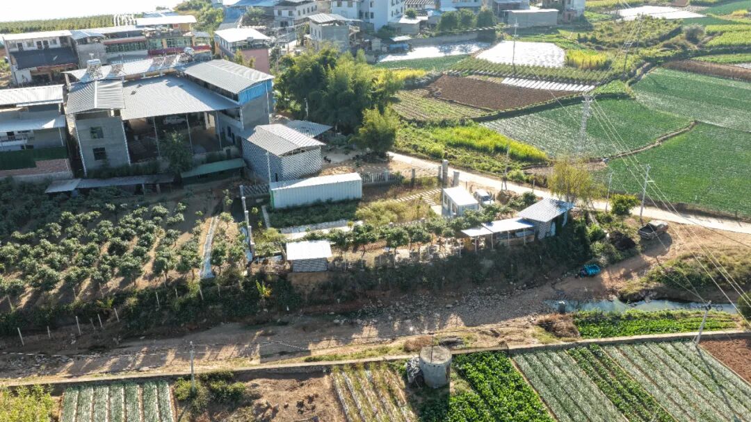 113_4_1772701853.jpeg?wx_fmt=jpeg&from=appmsg