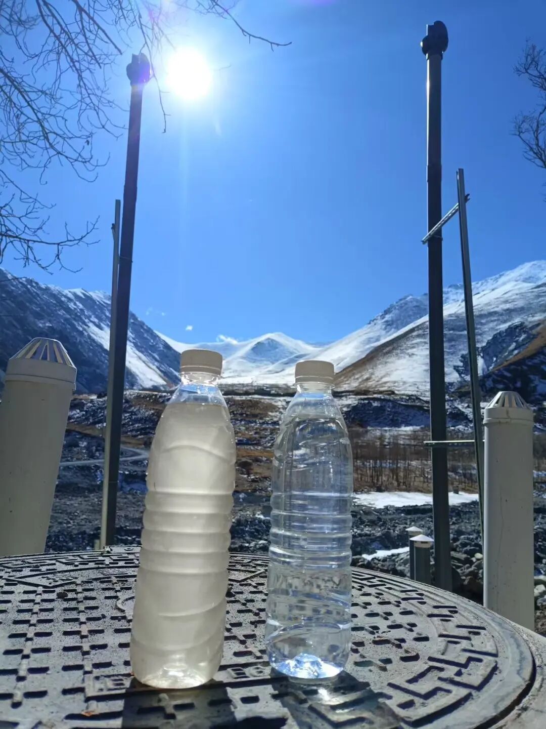 113_5_1773106157.jpeg?wx_fmt=jpeg&from=appmsg