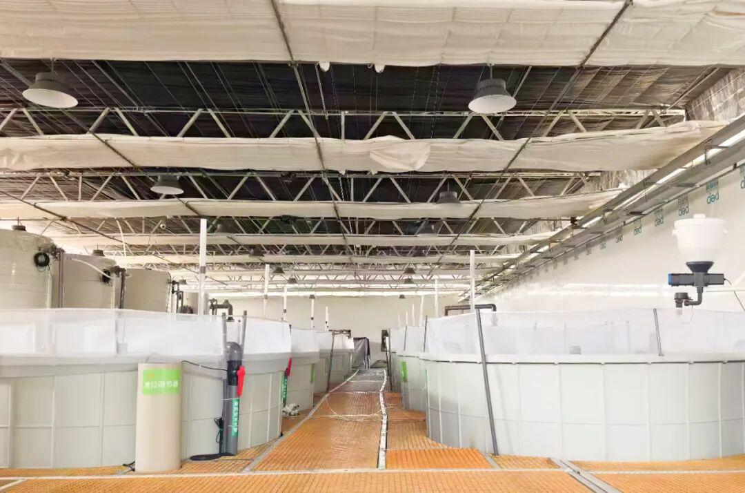 113_5_1773995110.jpeg?wx_fmt=jpeg&from=appmsg