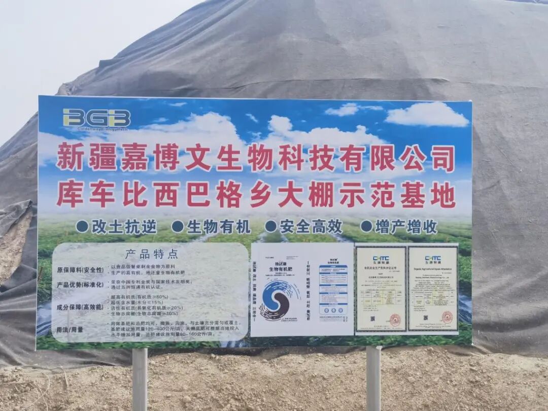 113_6_1773986521.jpeg?wx_fmt=jpeg