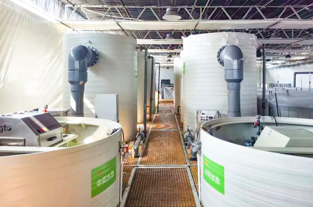 113_6_1773995110.jpeg?wx_fmt=jpeg&from=appmsg