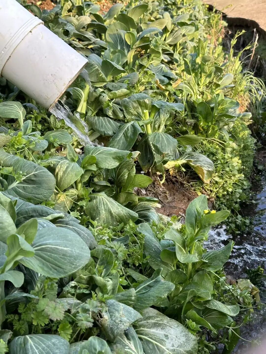 113_7_1773106157.jpeg?wx_fmt=jpeg&from=appmsg