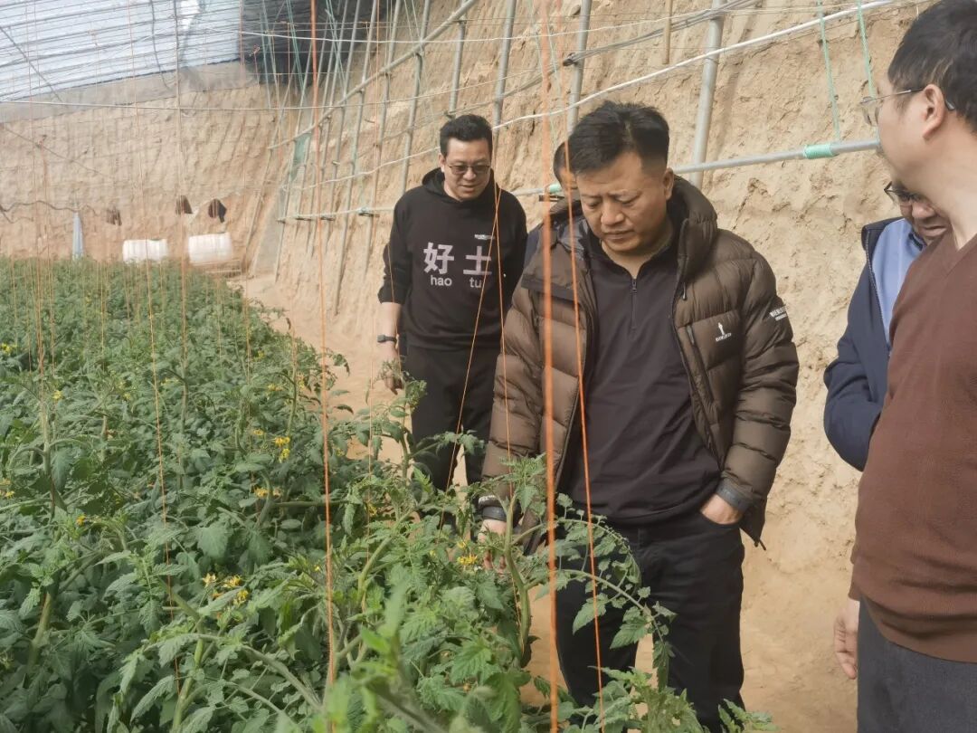 113_7_1773986521.jpeg?wx_fmt=jpeg