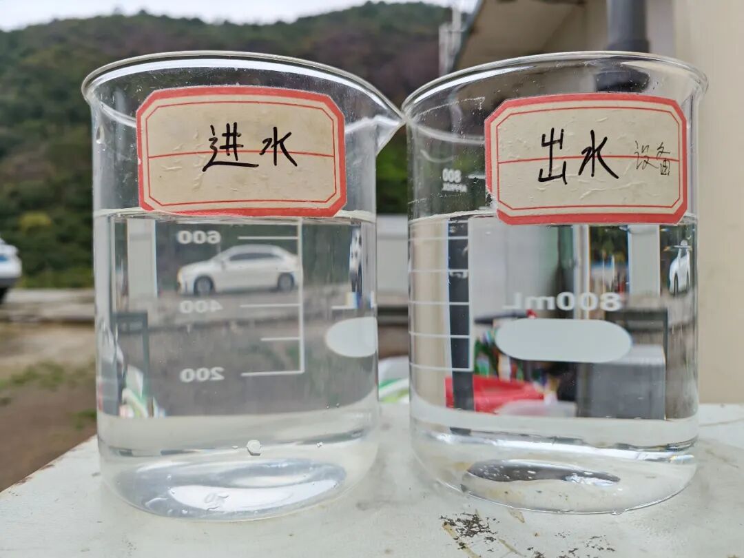 113_9_1772613981.jpeg?wx_fmt=jpeg&from=appmsg