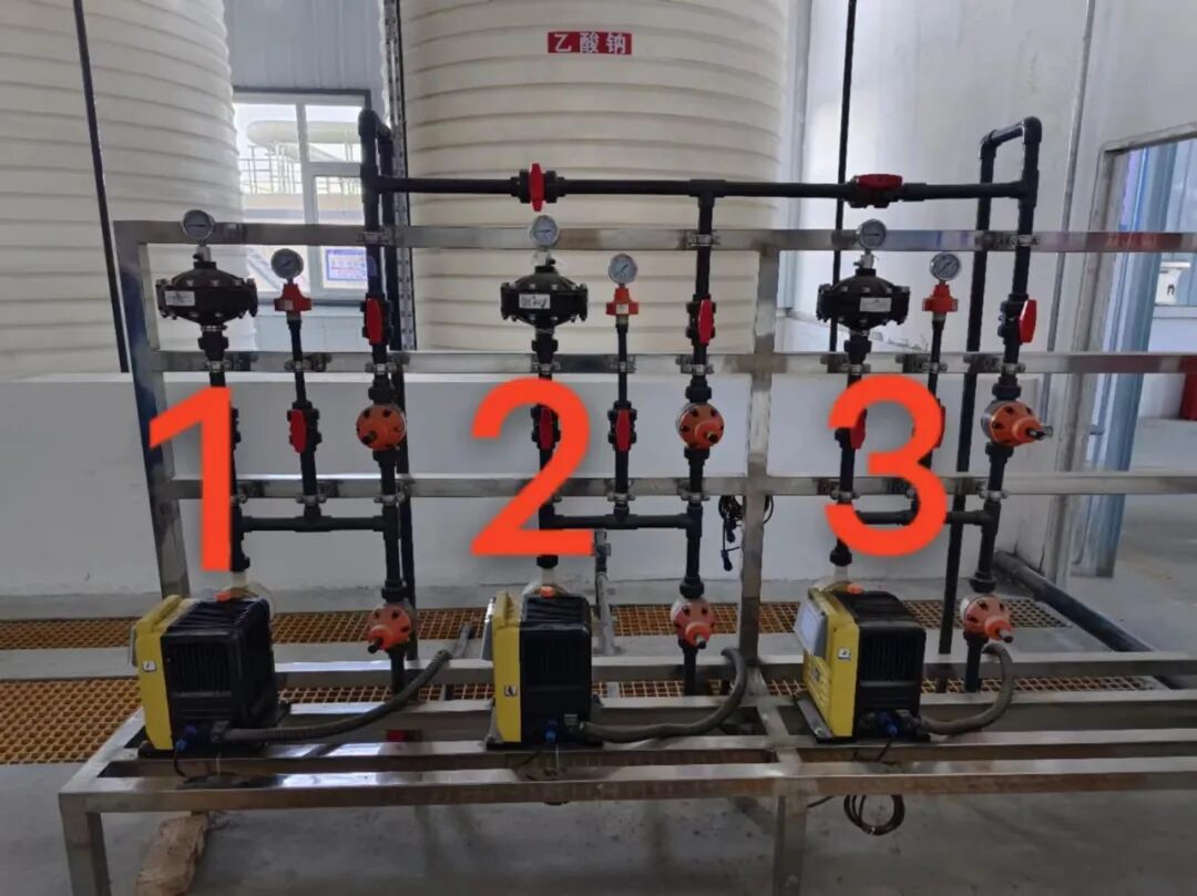 113_9_1772702108.jpeg?wx_fmt=jpeg&from=appmsg