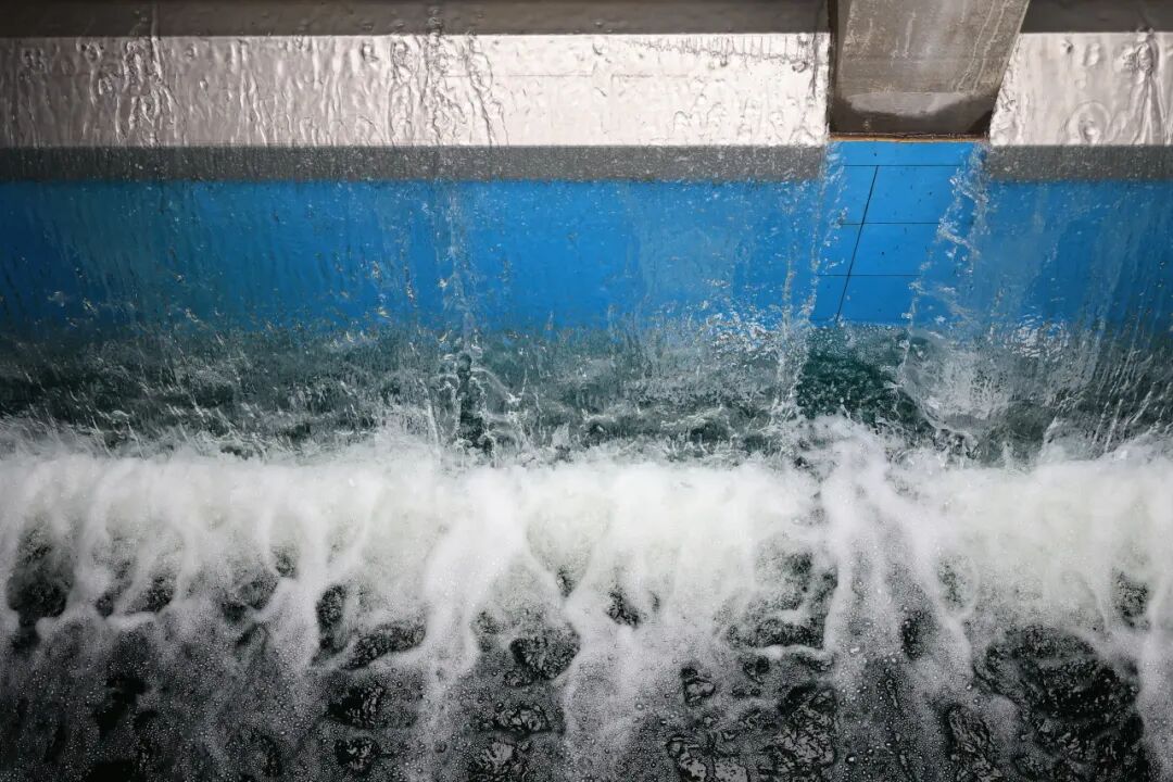 113_16_1777433633.jpeg?wx_fmt=jpeg