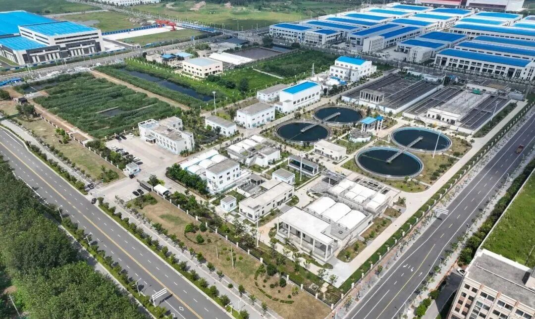 113_1_1775098776.jpeg?wx_fmt=jpeg