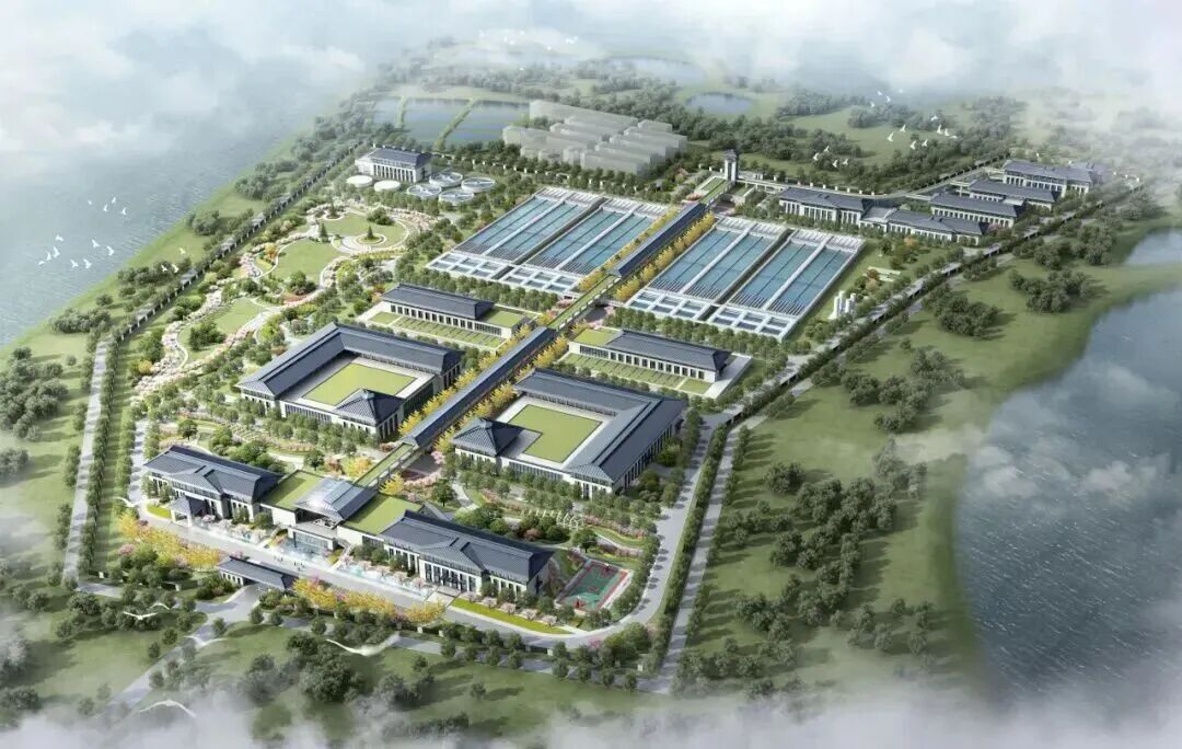 113_1_1776410081.jpeg?wx_fmt=jpeg