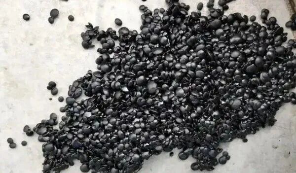 113_1_1777514828.jpeg?wx_fmt=jpeg&from=appmsg