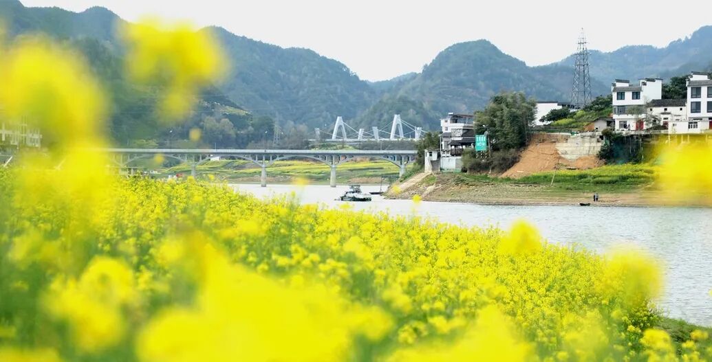 113_2_1775203754.jpeg?wx_fmt=jpeg&from=appmsg